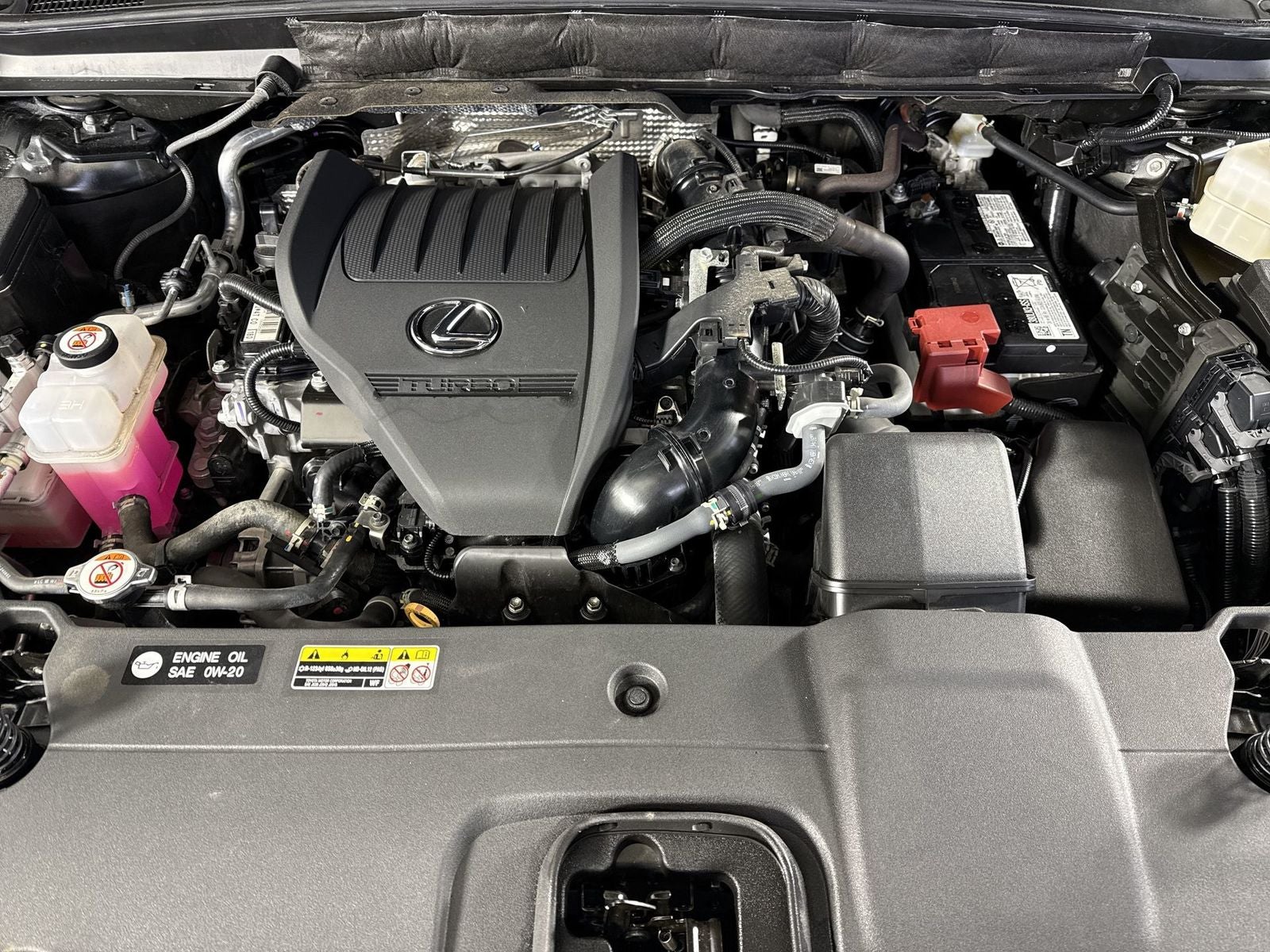 2024 Lexus RX RX 350